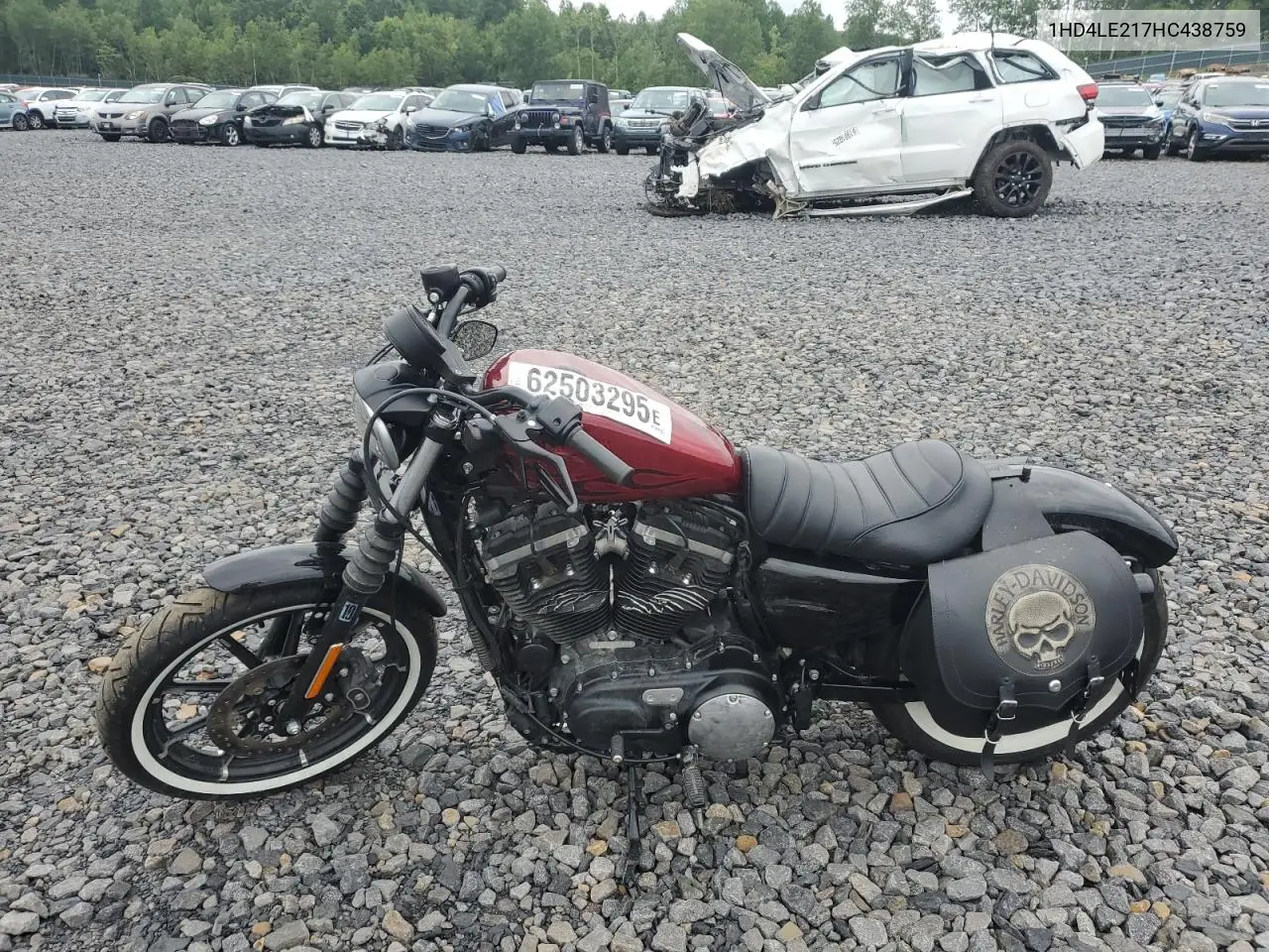 2017 Harley-Davidson Xl883 Iron 883 VIN: 1HD4LE217HC438759 Lot: 62503295