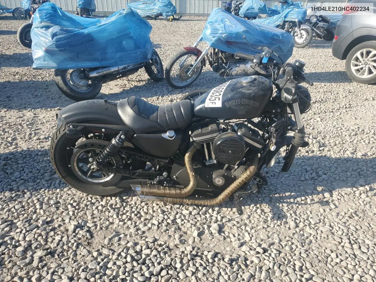 2017 Harley-Davidson Xl883 Iron 883 VIN: 1HD4LE210HC402234 Lot: 62866835