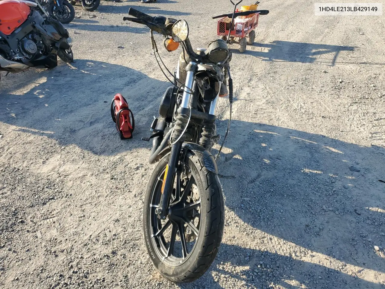 2020 Harley-Davidson Xl883 N VIN: 1HD4LE213LB429149 Lot: 53697865