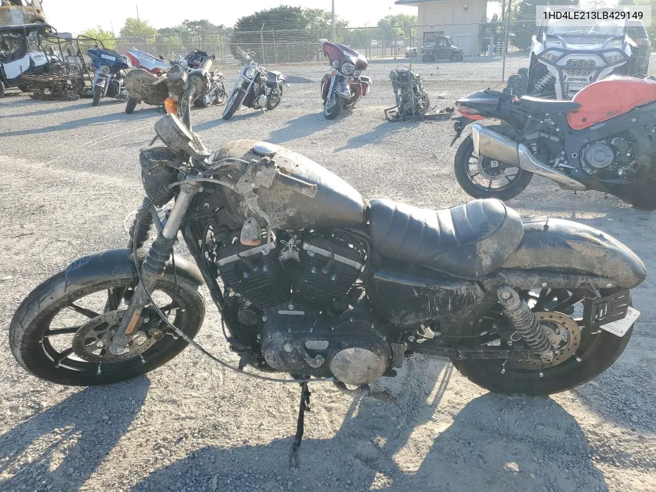 2020 Harley-Davidson Xl883 N VIN: 1HD4LE213LB429149 Lot: 53697865