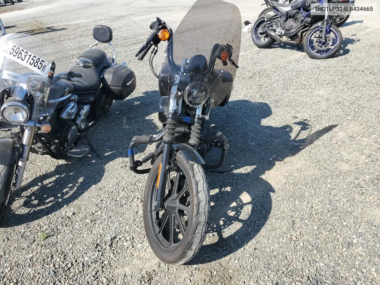 2020 Harley-Davidson Xl1200 Ns VIN: 1HD1LP325LB434665 Lot: 61044495