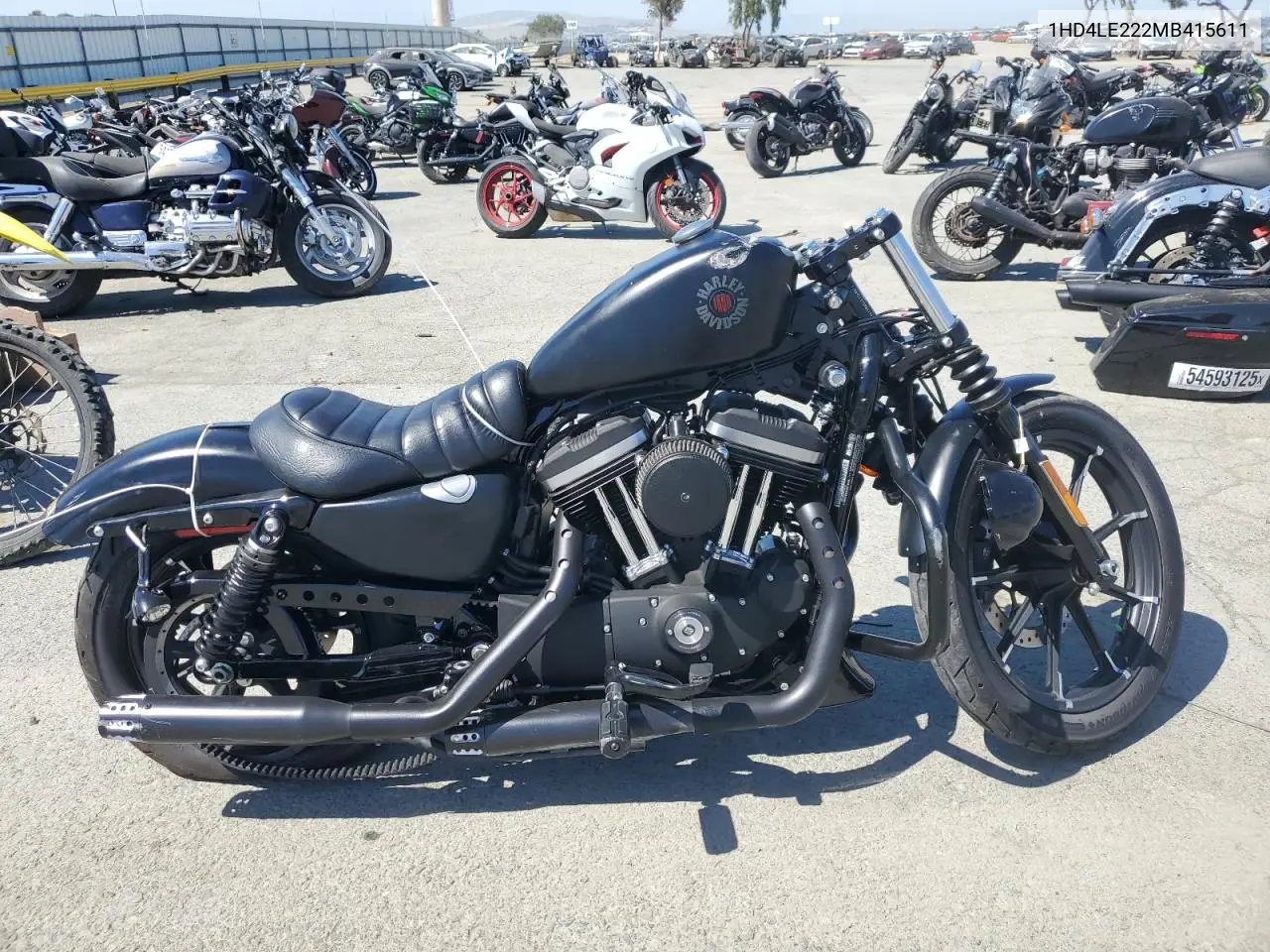 2021 Harley-Davidson Xl883 N VIN: 1HD4LE222MB415611 Lot: 55642635