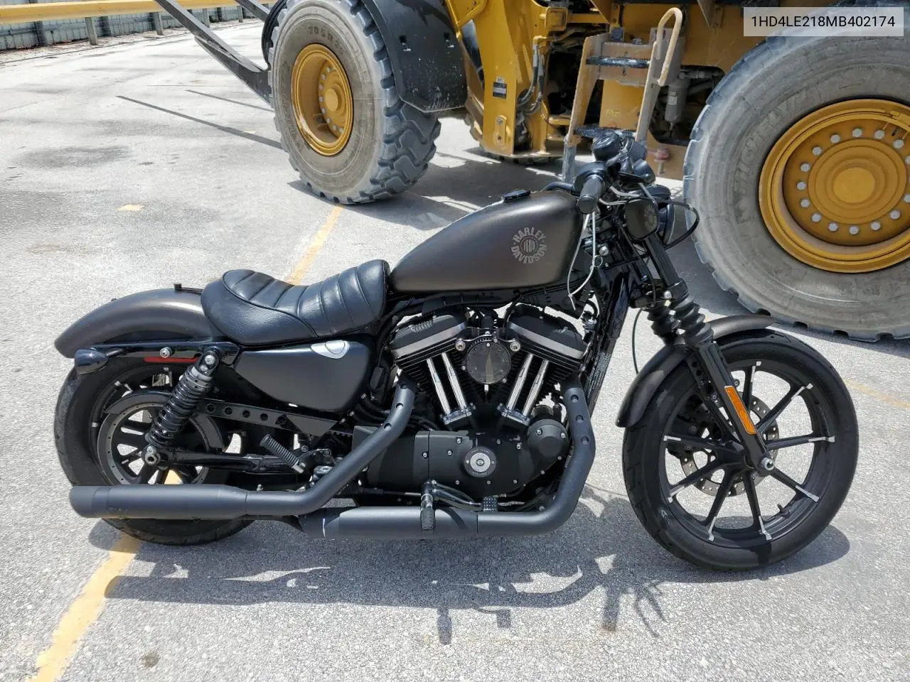 2021 Harley-Davidson Xl883 N VIN: 1HD4LE218MB402174 Lot: 60704315