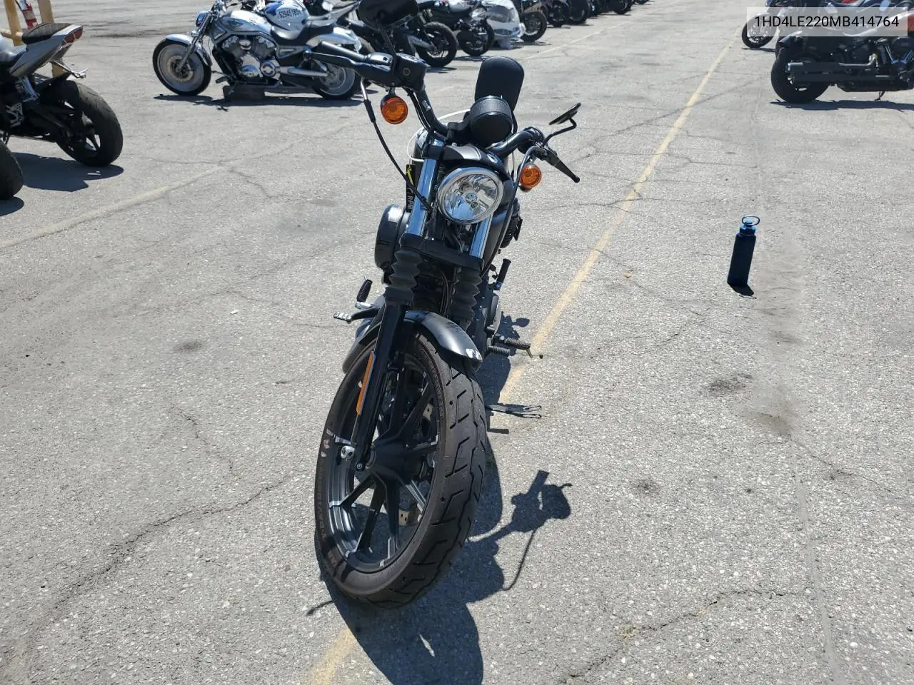 2021 Harley-Davidson Xl883 N VIN: 1HD4LE220MB414764 Lot: 62915995