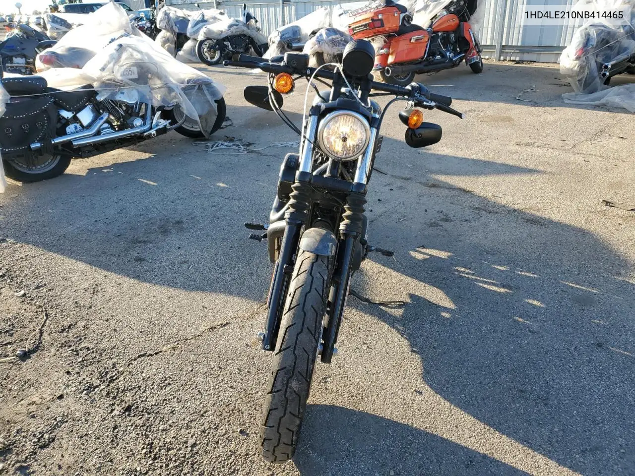 2022 Harley-Davidson Xl883 N VIN: 1HD4LE210NB414465 Lot: 53294515