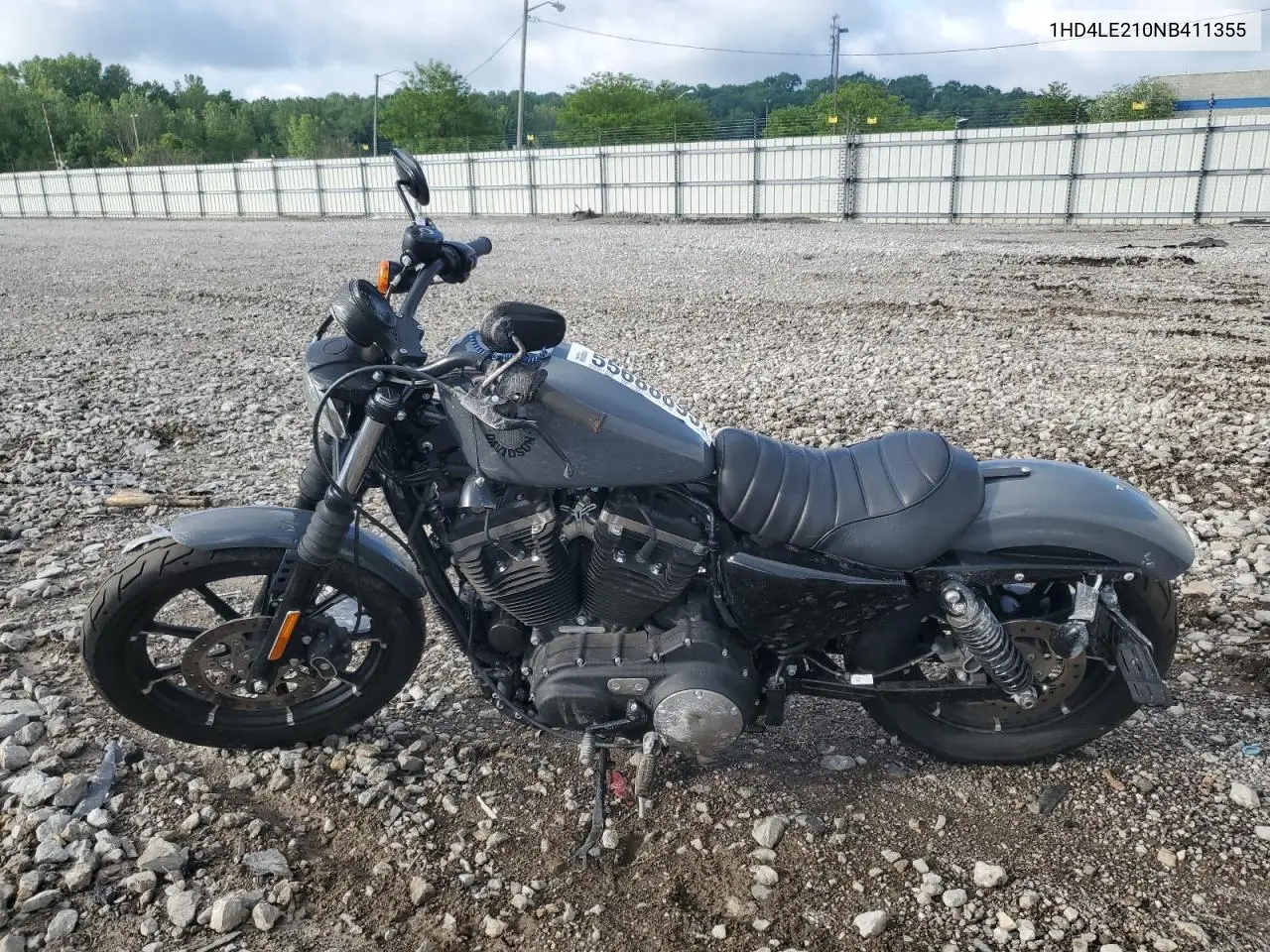 2022 Harley-Davidson Xl883 N VIN: 1HD4LE210NB411355 Lot: 55688895