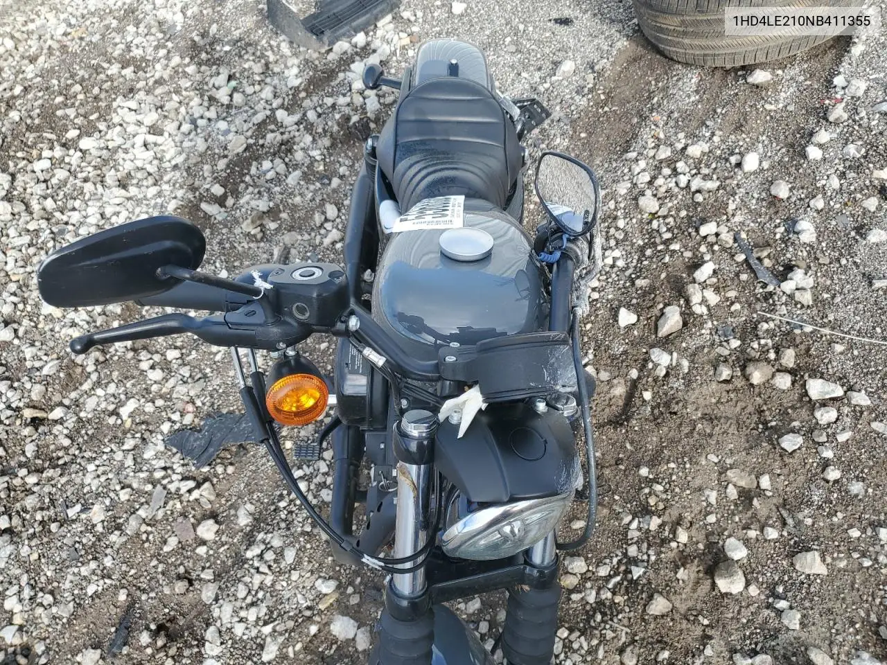 2022 Harley-Davidson Xl883 N VIN: 1HD4LE210NB411355 Lot: 55688895