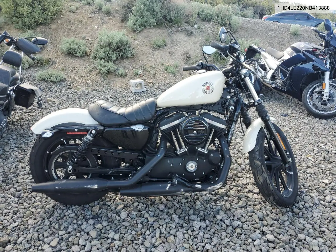 2022 Harley-Davidson Xl883 N VIN: 1HD4LE220NB413888 Lot: 56432025