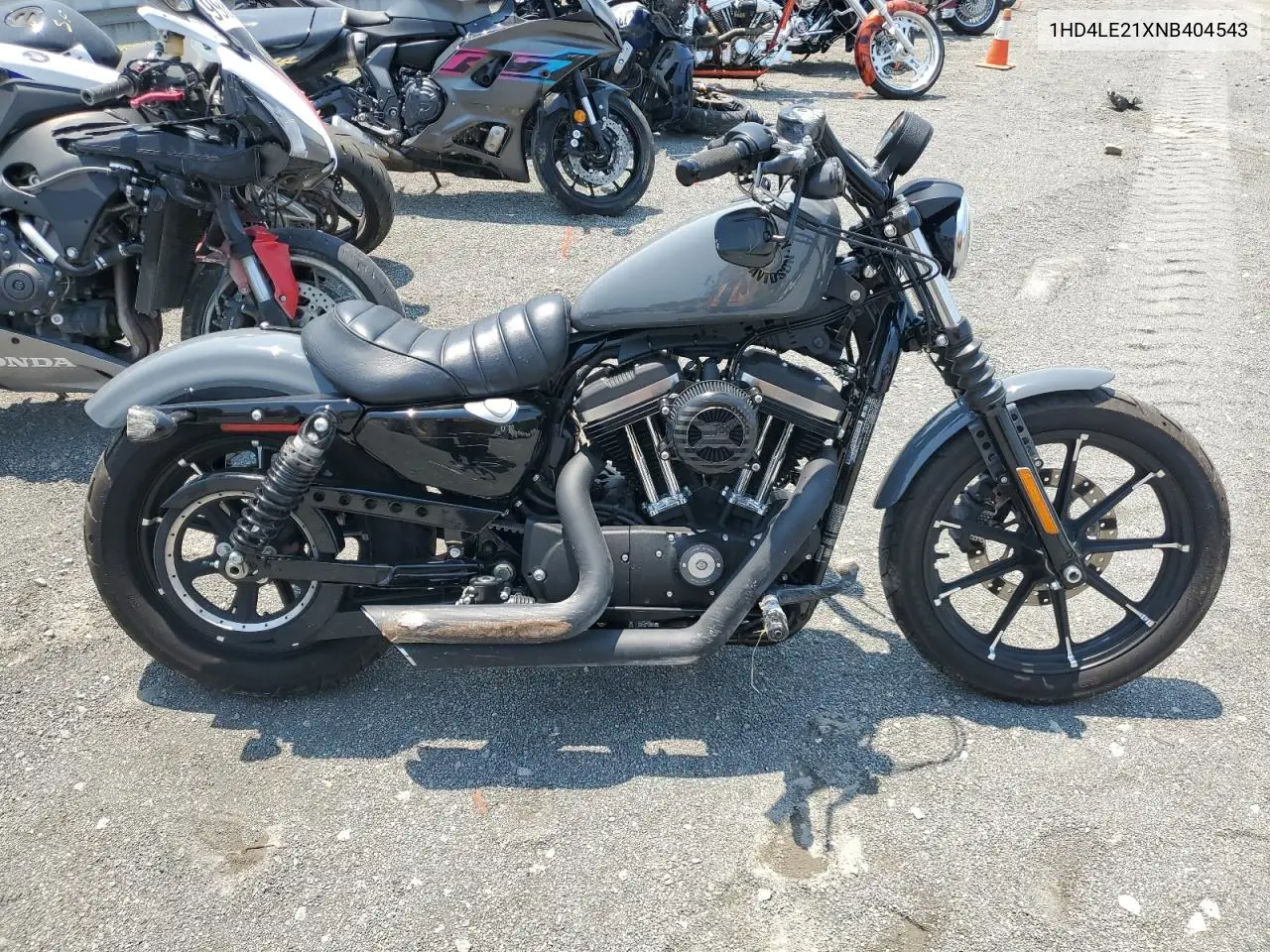2022 Harley-Davidson Xl883 N VIN: 1HD4LE21XNB404543 Lot: 60627225