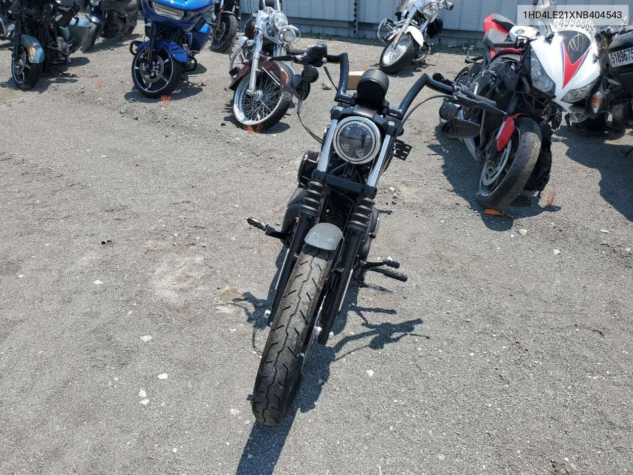 2022 Harley-Davidson Xl883 N VIN: 1HD4LE21XNB404543 Lot: 60627225