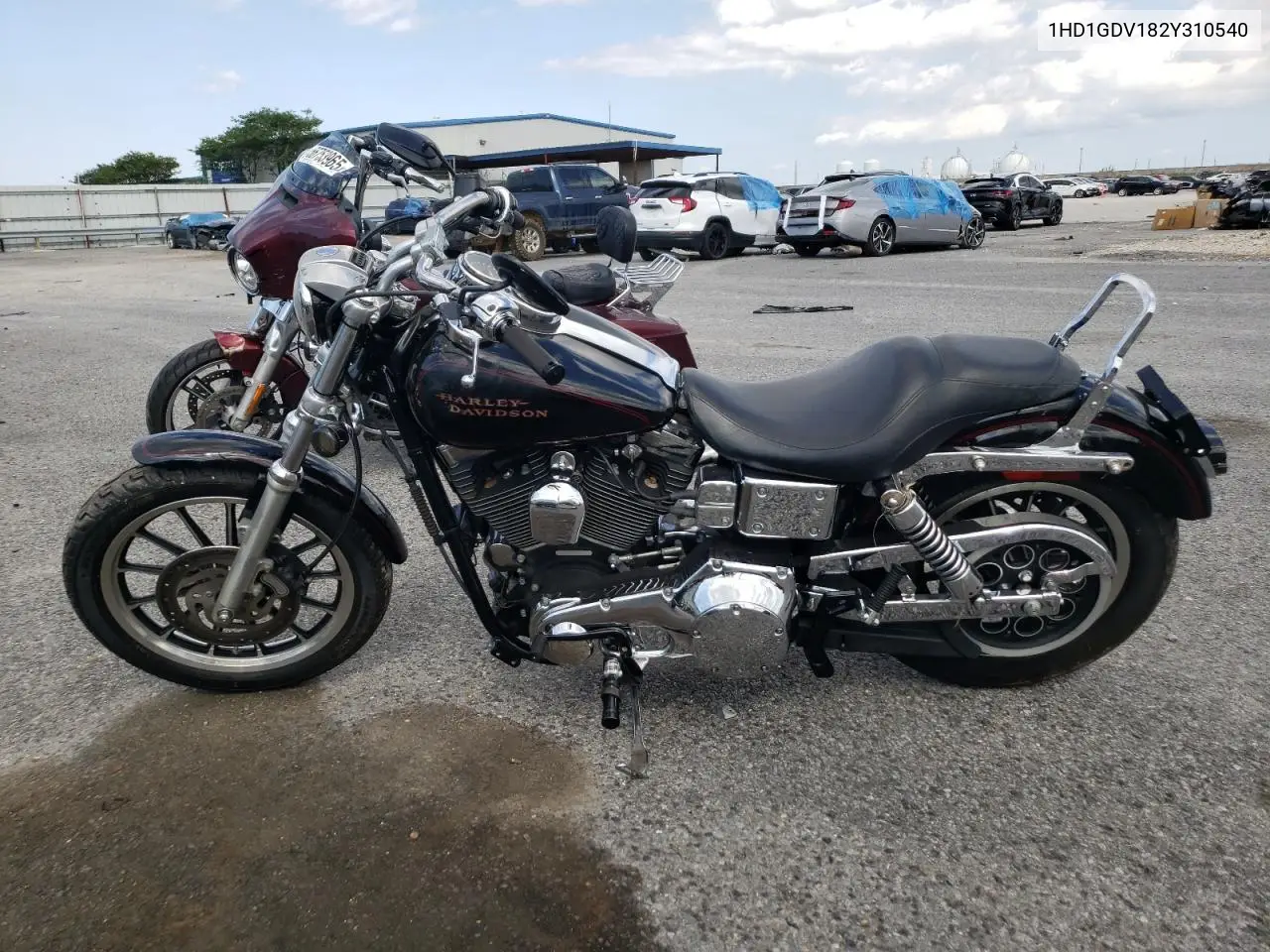 2002 Harley-Davidson Fxdl VIN: 1HD1GDV182Y310540 Lot: 55669105