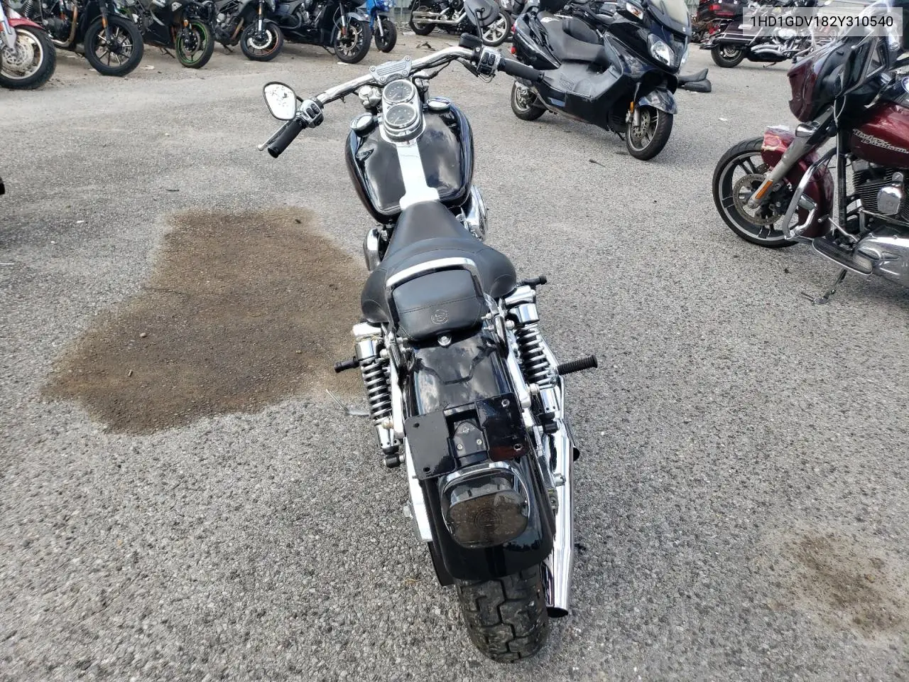2002 Harley-Davidson Fxdl VIN: 1HD1GDV182Y310540 Lot: 55669105