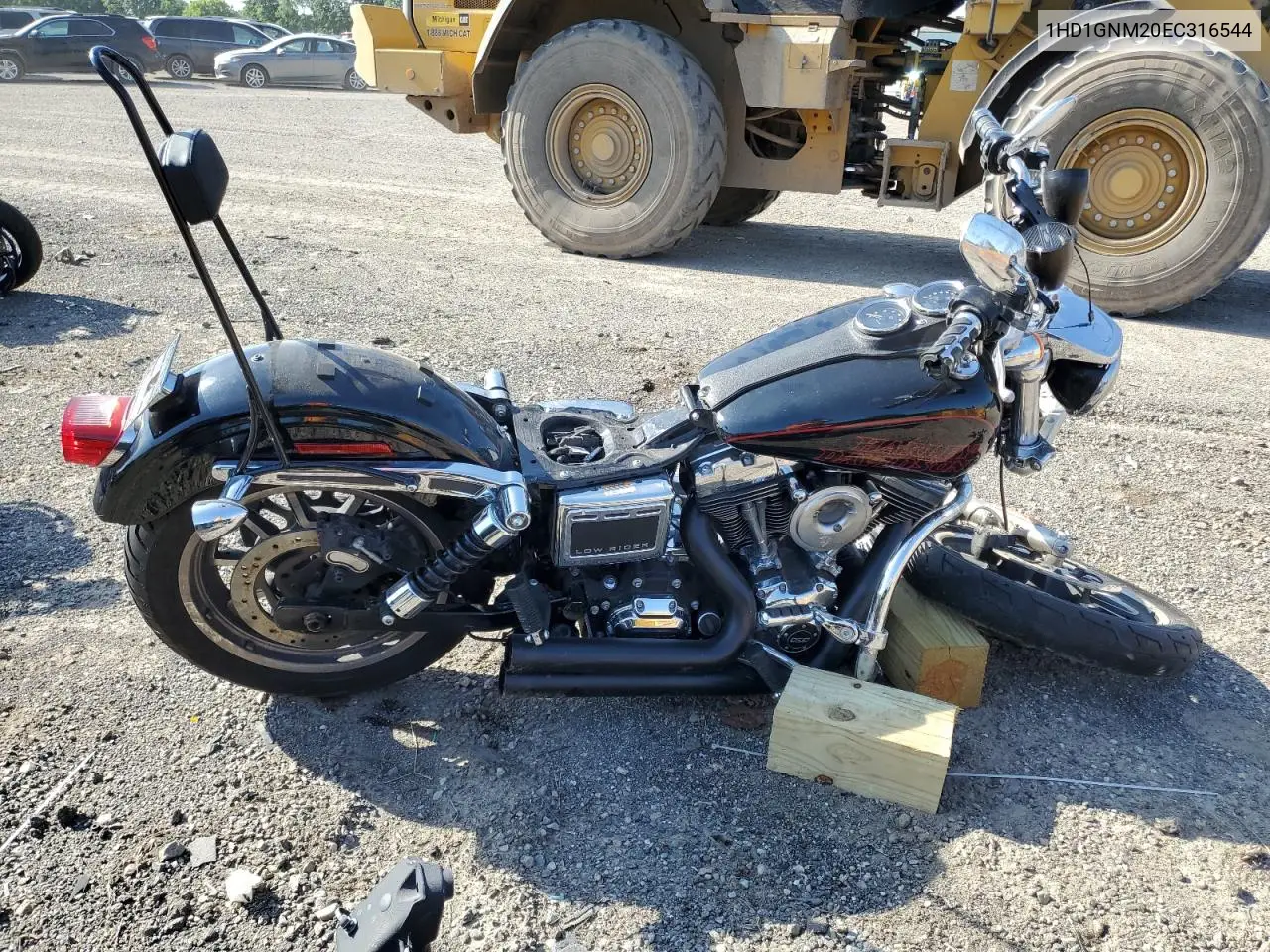 2014 Harley-Davidson Fxdl Dyna Low Rider VIN: 1HD1GNM20EC316544 Lot: 61968555