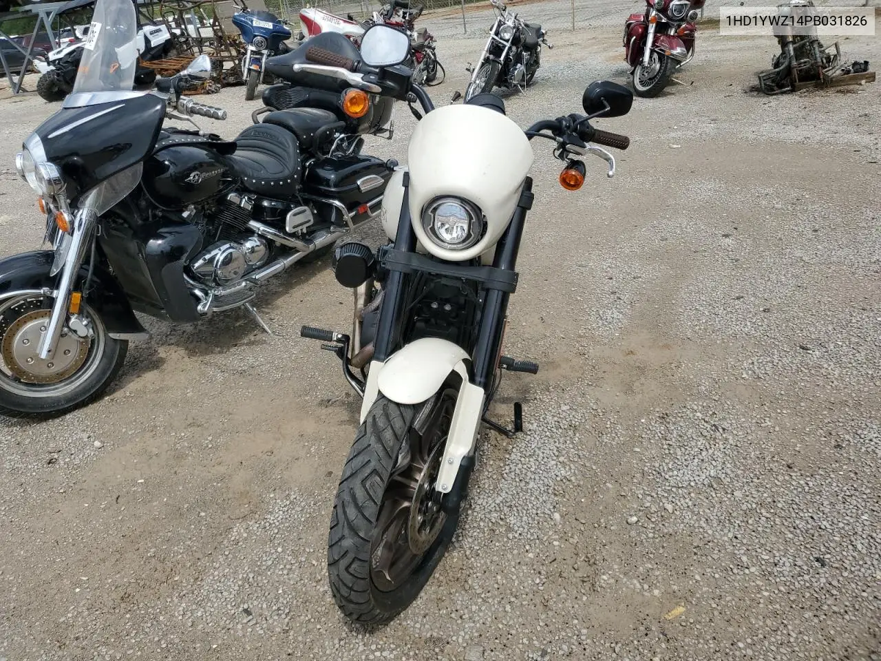 2023 Harley-Davidson Fxlrs VIN: 1HD1YWZ14PB031826 Lot: 54579745