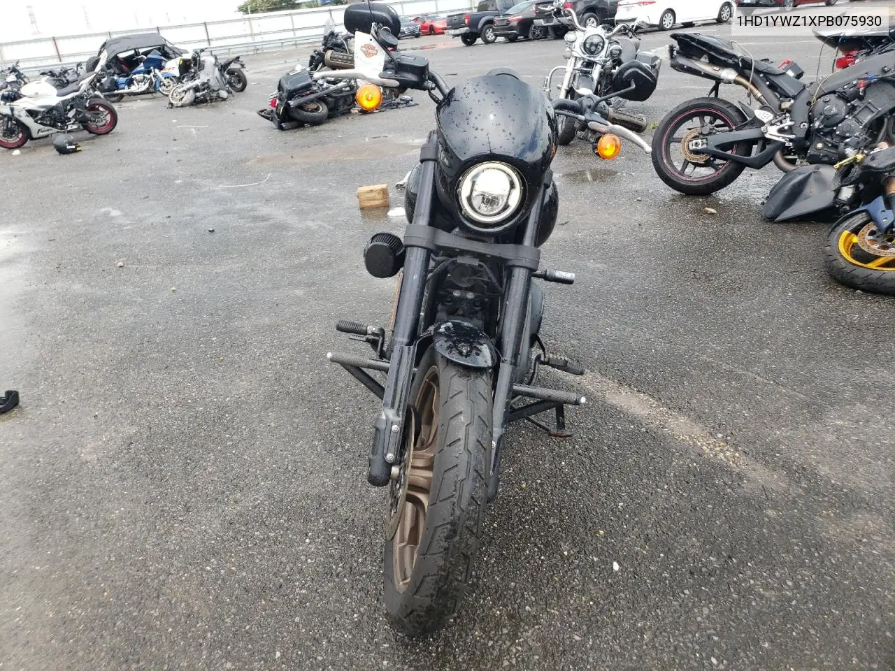 2023 Harley-Davidson Fxlrs VIN: 1HD1YWZ1XPB075930 Lot: 60085295