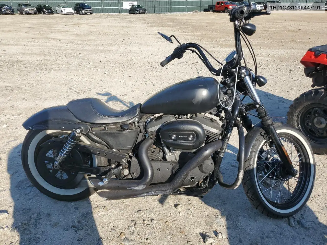 2009 Harley-Davidson Xl1200 N VIN: 1HD1CZ3129K447191 Lot: 62490605
