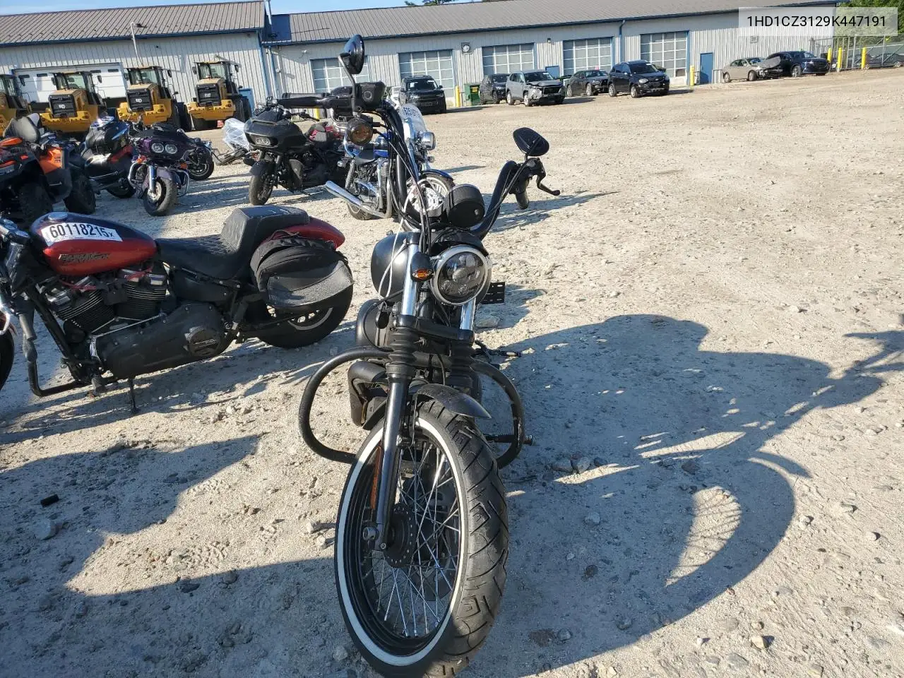 2009 Harley-Davidson Xl1200 N VIN: 1HD1CZ3129K447191 Lot: 62490605