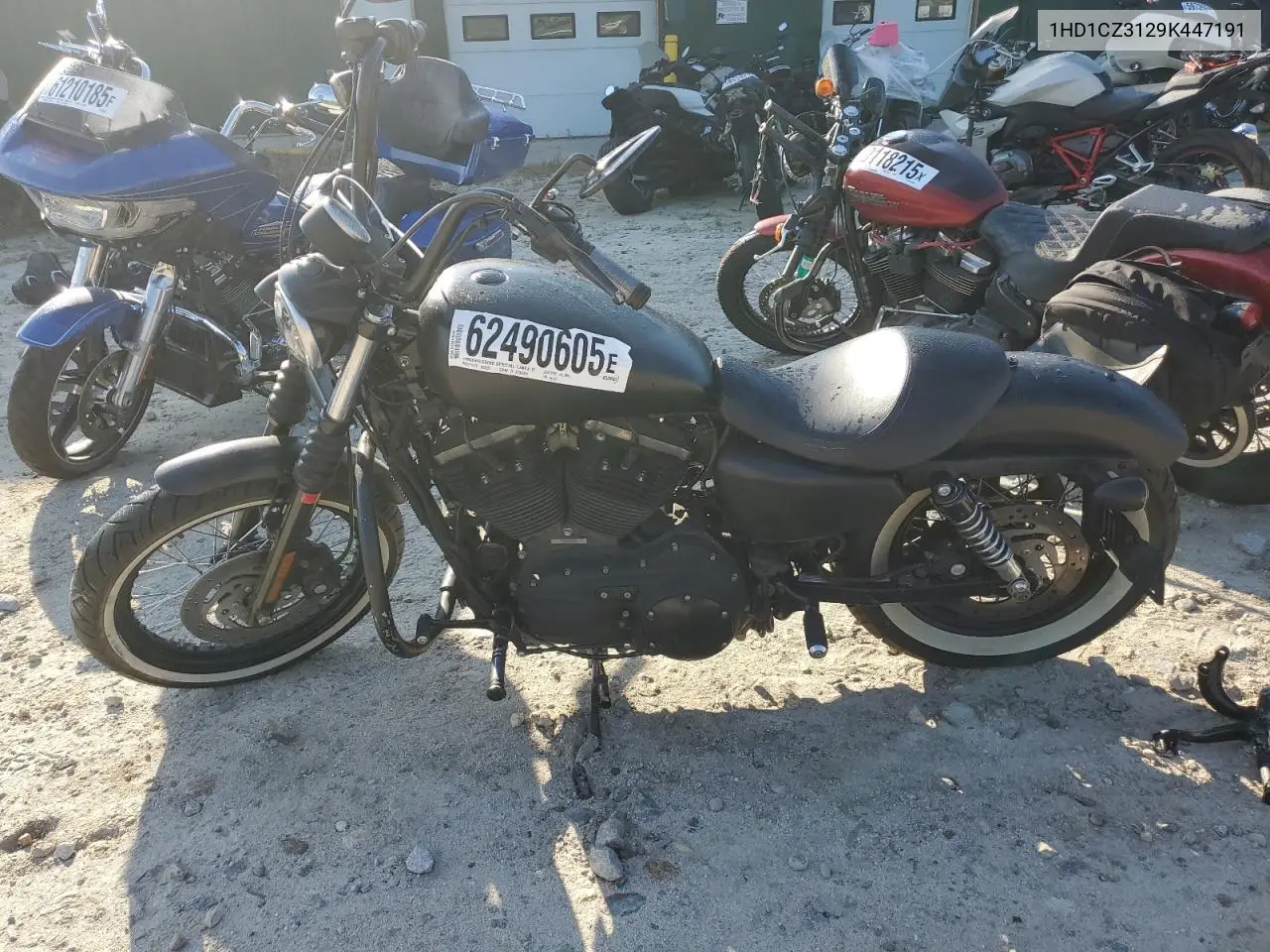 2009 Harley-Davidson Xl1200 N VIN: 1HD1CZ3129K447191 Lot: 62490605
