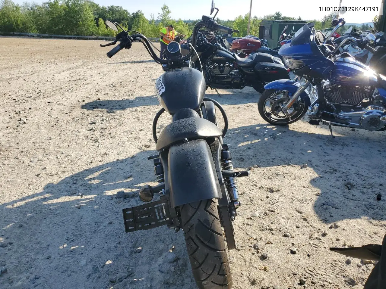 2009 Harley-Davidson Xl1200 N VIN: 1HD1CZ3129K447191 Lot: 62490605