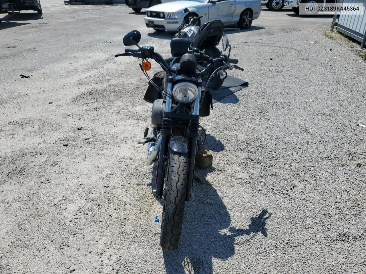 2009 Harley-Davidson Xl1200 N VIN: 1HD1CZ3189K445364 Lot: 62582925