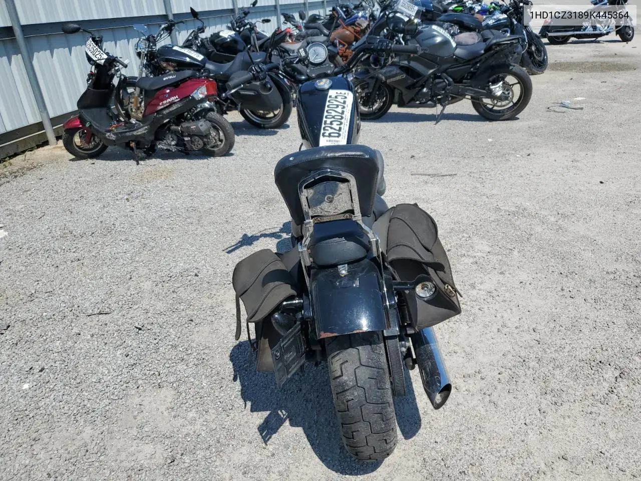 2009 Harley-Davidson Xl1200 N VIN: 1HD1CZ3189K445364 Lot: 62582925