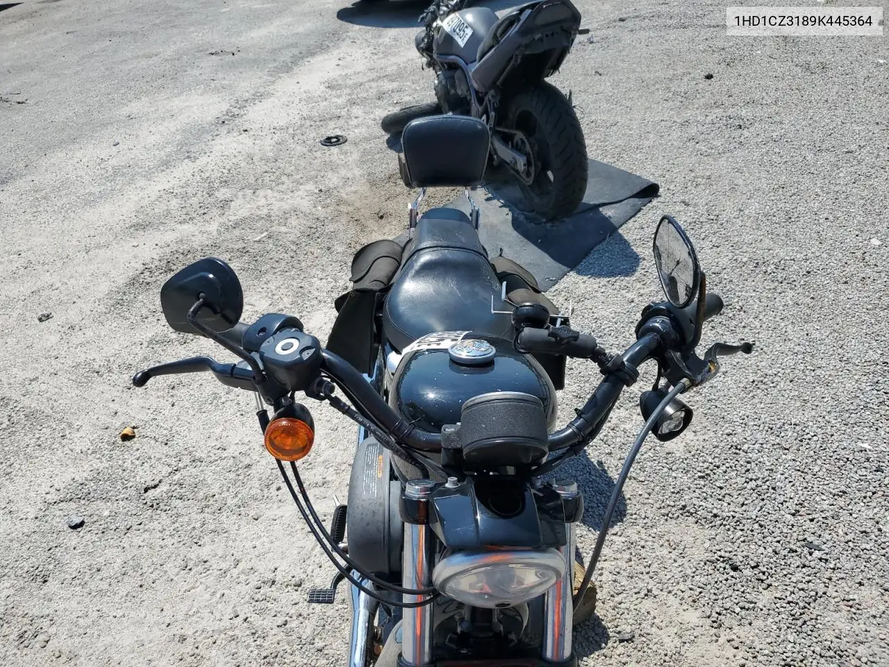 2009 Harley-Davidson Xl1200 N VIN: 1HD1CZ3189K445364 Lot: 62582925