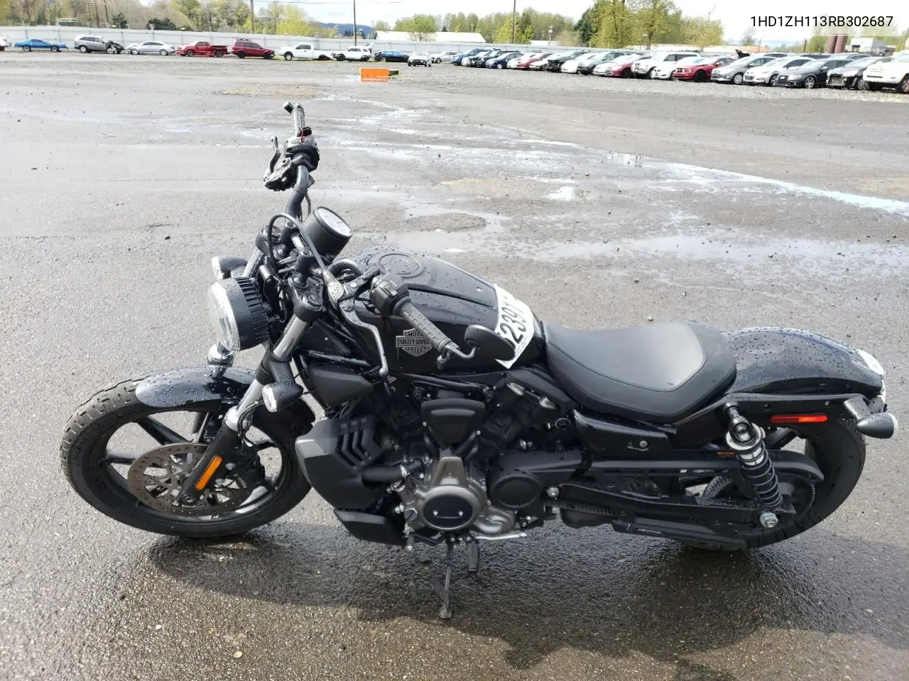 2024 Harley-Davidson Rh975 VIN: 1HD1ZH113RB302687 Lot: 52391145