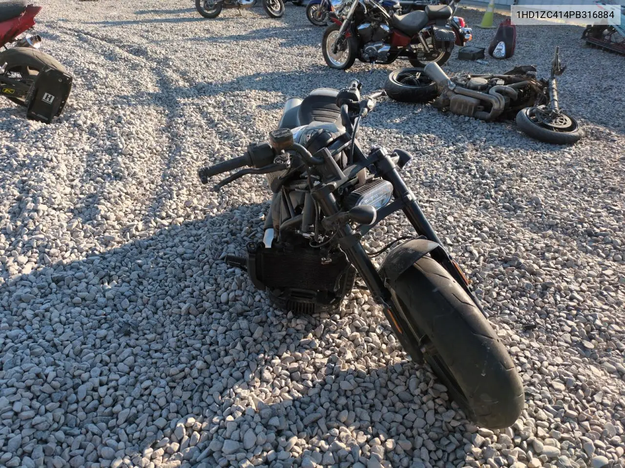 2023 Harley-Davidson Rh1250 S VIN: 1HD1ZC414PB316884 Lot: 60245925