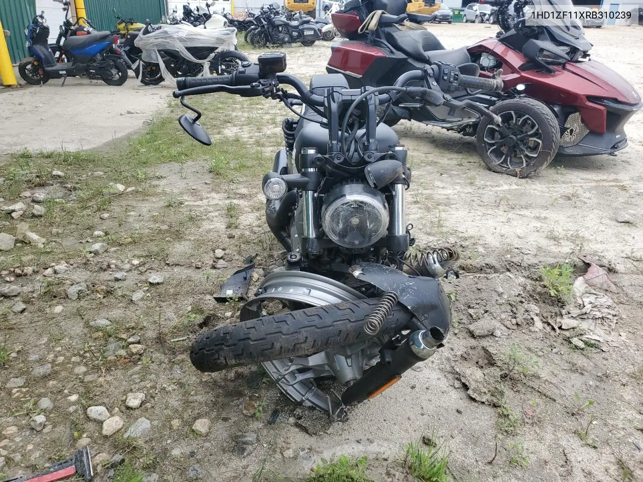 2024 Harley-Davidson Rh975 S VIN: 1HD1ZF11XRB310239 Lot: 57407995