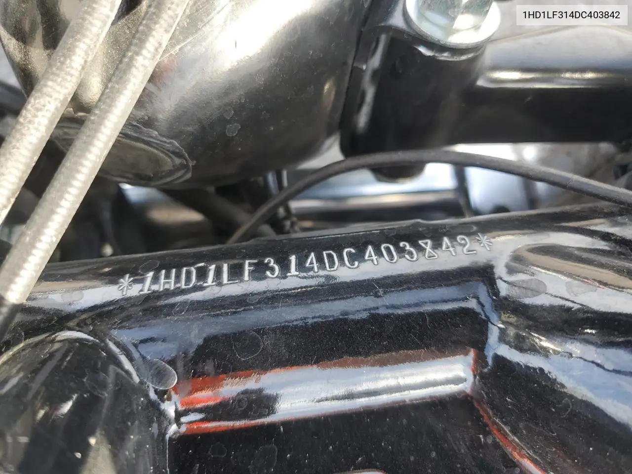 2013 Harley-Davidson Xl1200 V VIN: 1HD1LF314DC403842 Lot: 53093745