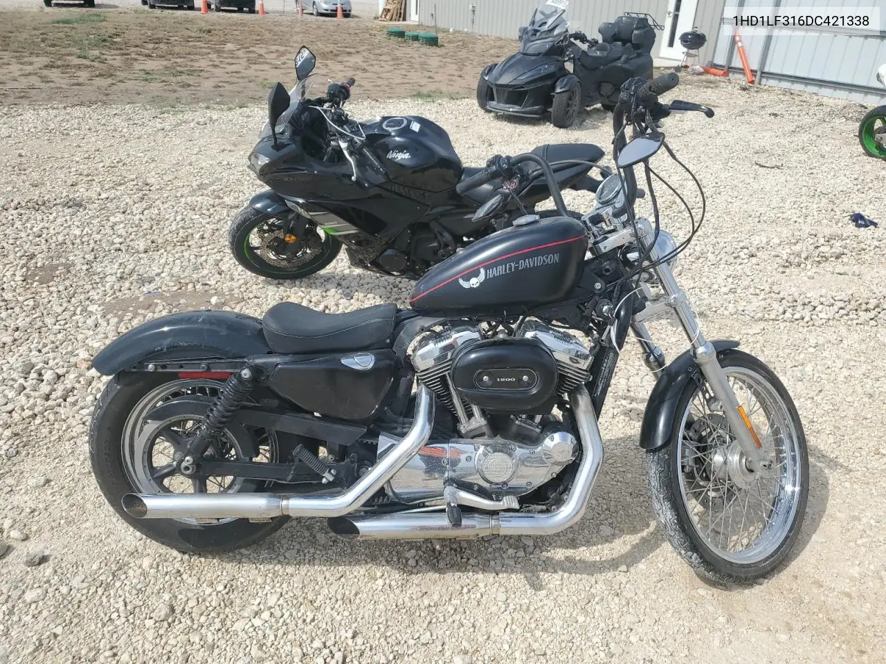 2013 Harley-Davidson Xl1200 V VIN: 1HD1LF316DC421338 Lot: 54429855