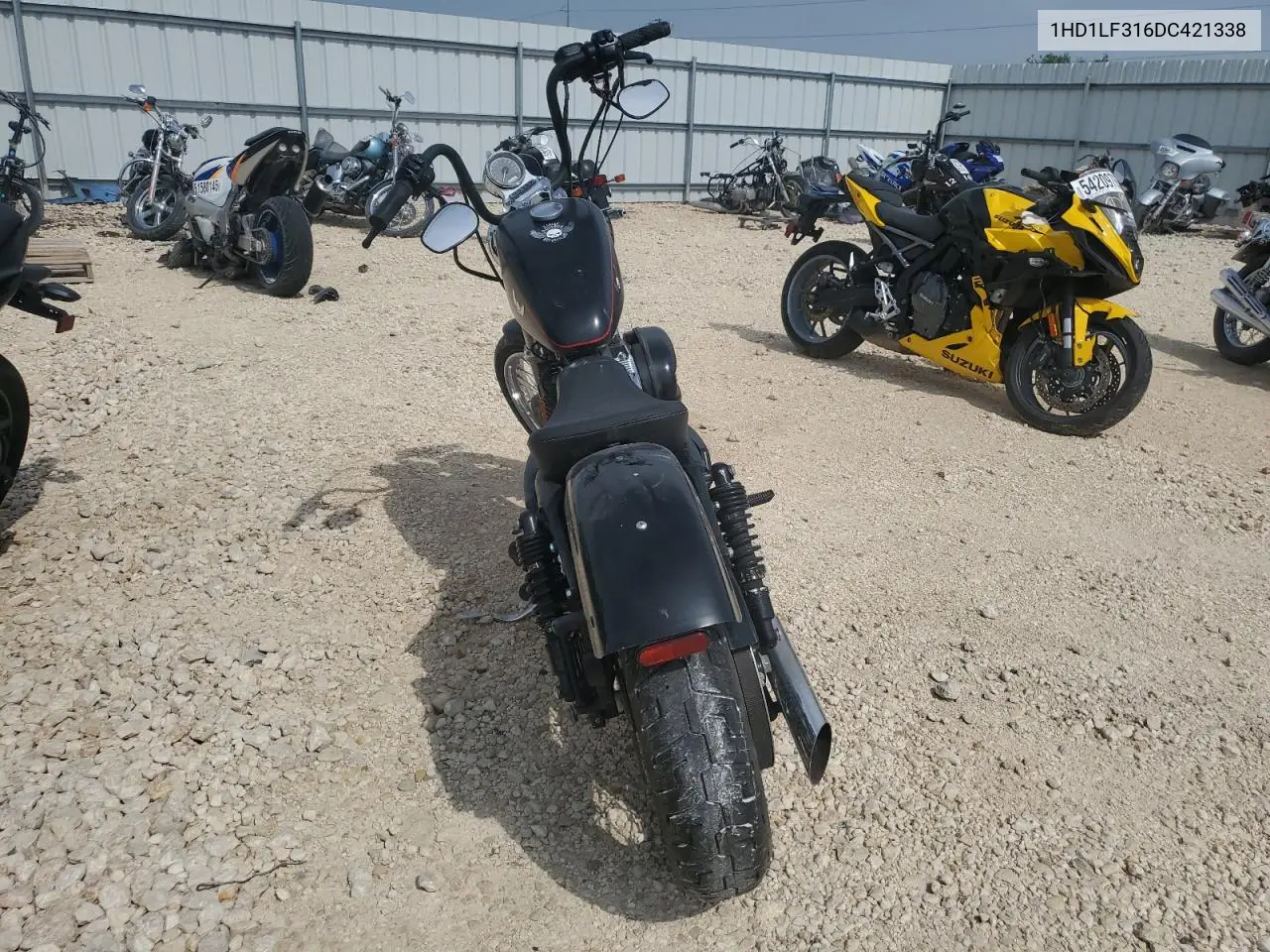 2013 Harley-Davidson Xl1200 V VIN: 1HD1LF316DC421338 Lot: 54429855