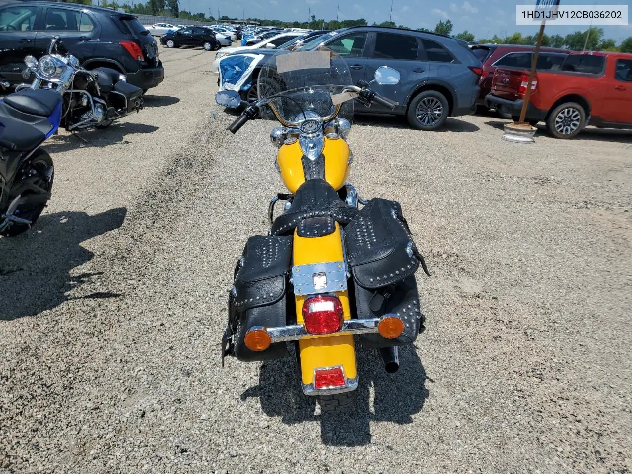 2012 Harley-Davidson Flstc Shrine VIN: 1HD1JHV12CB036202 Lot: 62927865