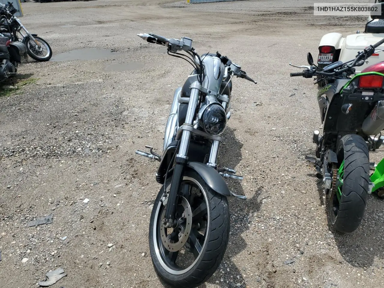2005 Harley-Davidson Vrsca VIN: 1HD1HAZ155K803802 Lot: 54540625