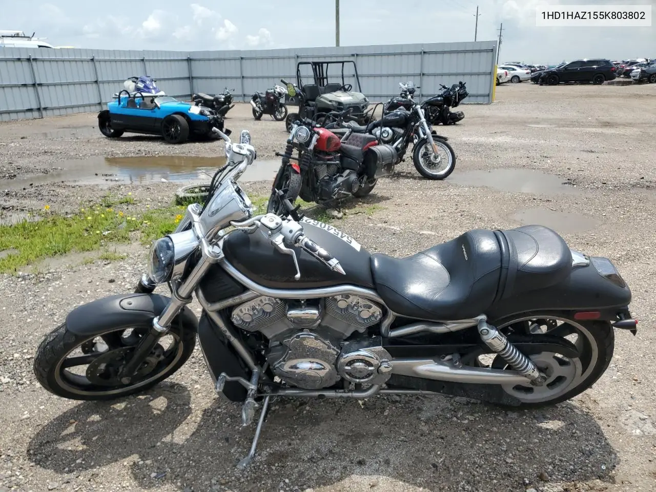 2005 Harley-Davidson Vrsca VIN: 1HD1HAZ155K803802 Lot: 54540625