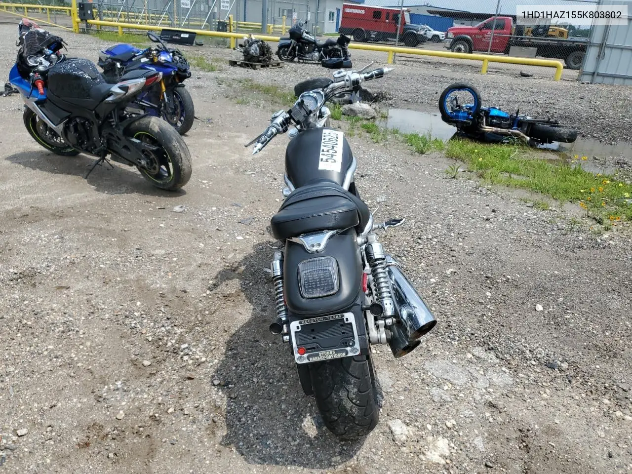 2005 Harley-Davidson Vrsca VIN: 1HD1HAZ155K803802 Lot: 54540625