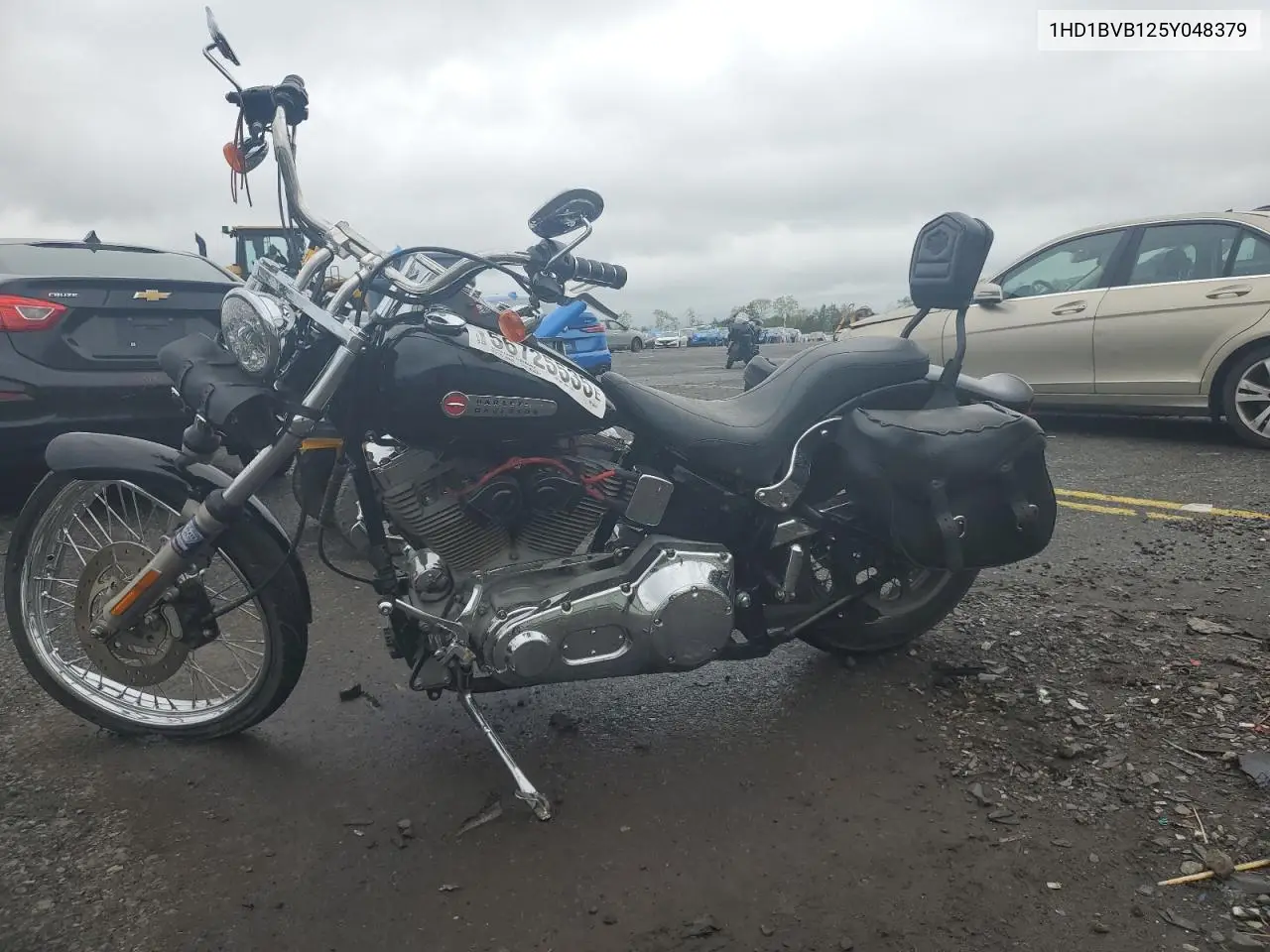 2005 Harley-Davidson Fxsti VIN: 1HD1BVB125Y048379 Lot: 56725535
