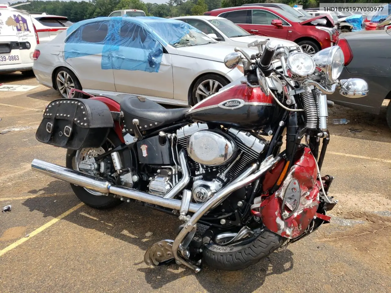 2007 Harley-Davidson Flstsc VIN: 1HD1BY5197Y030977 Lot: 54504593