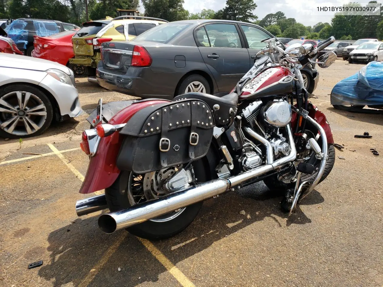 2007 Harley-Davidson Flstsc VIN: 1HD1BY5197Y030977 Lot: 54504593