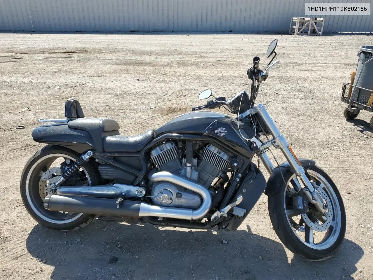 2009 Harley-Davidson Vrscf VIN: 1HD1HPH119K802186 Lot: 56734385