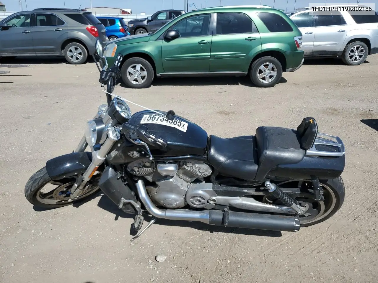2009 Harley-Davidson Vrscf VIN: 1HD1HPH119K802186 Lot: 56734385