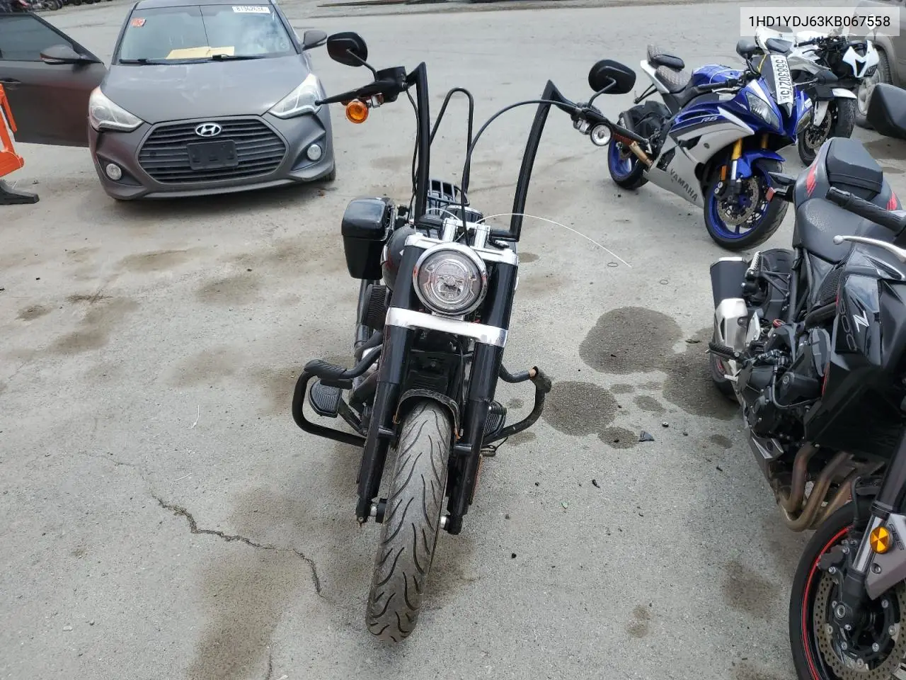 2019 Harley-Davidson Flsl VIN: 1HD1YDJ63KB067558 Lot: 55697155