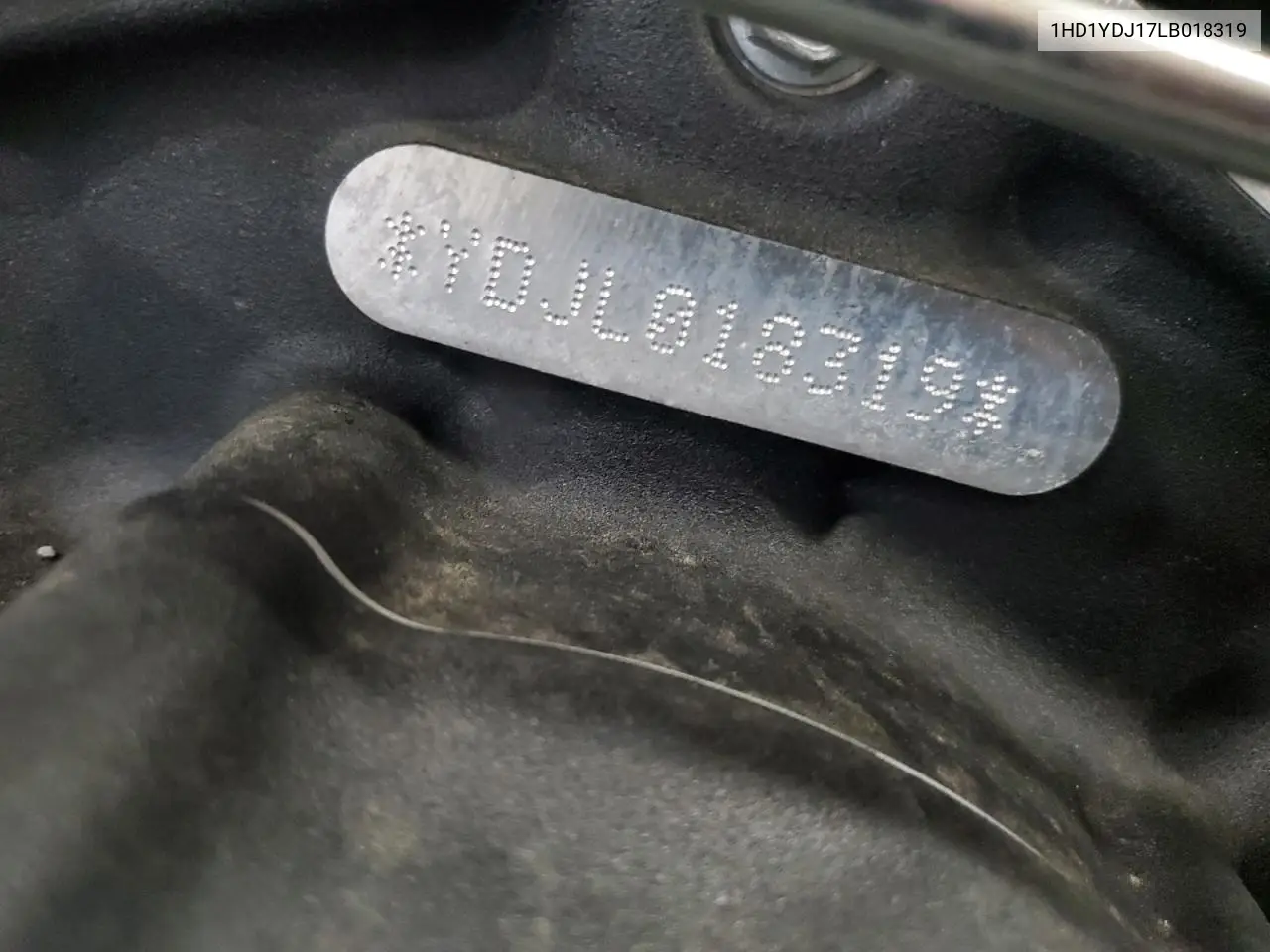 2020 Harley-Davidson Flsl VIN: 1HD1YDJ17LB018319 Lot: 60729055