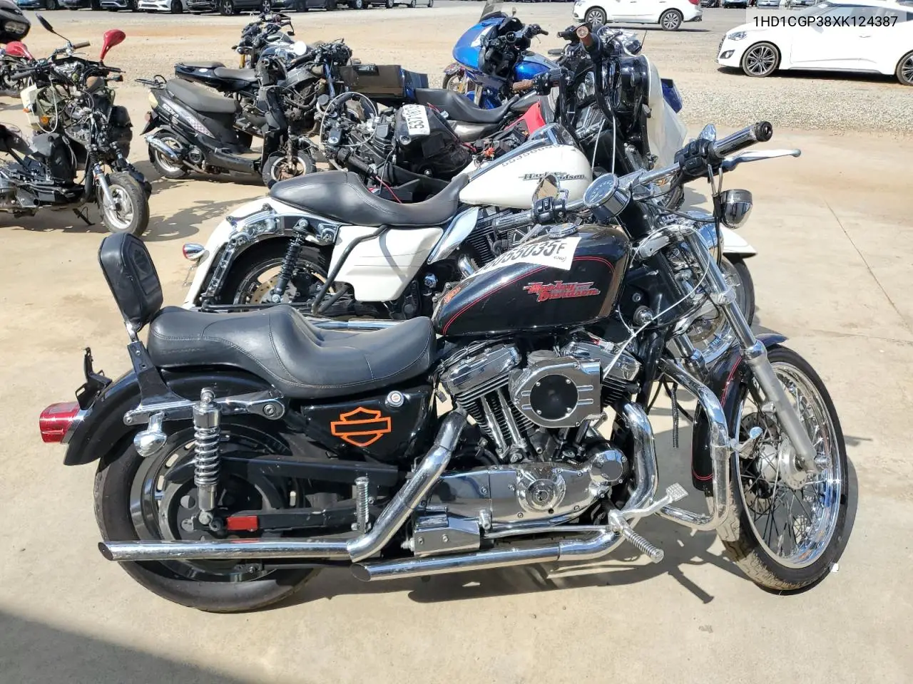 1999 Harley-Davidson Xl1200 C VIN: 1HD1CGP38XK124387 Lot: 56055035