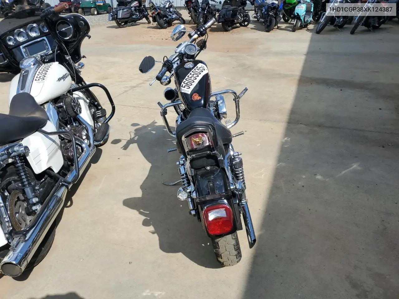 1999 Harley-Davidson Xl1200 C VIN: 1HD1CGP38XK124387 Lot: 56055035