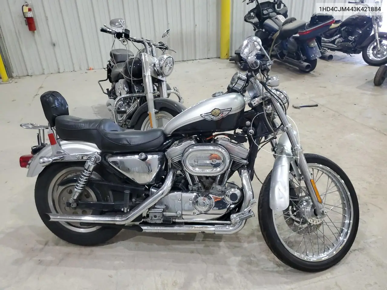 2003 Harley-Davidson Xl883 C Anniversary VIN: 1HD4CJM443K421884 Lot: 56135415