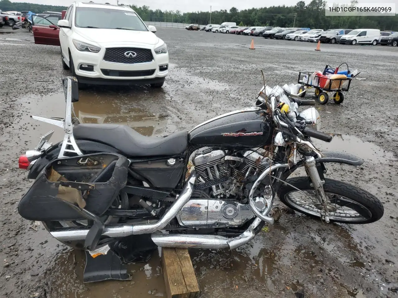 2005 Harley-Davidson Xl1200 C VIN: 1HD1CGP165K460969 Lot: 57593285