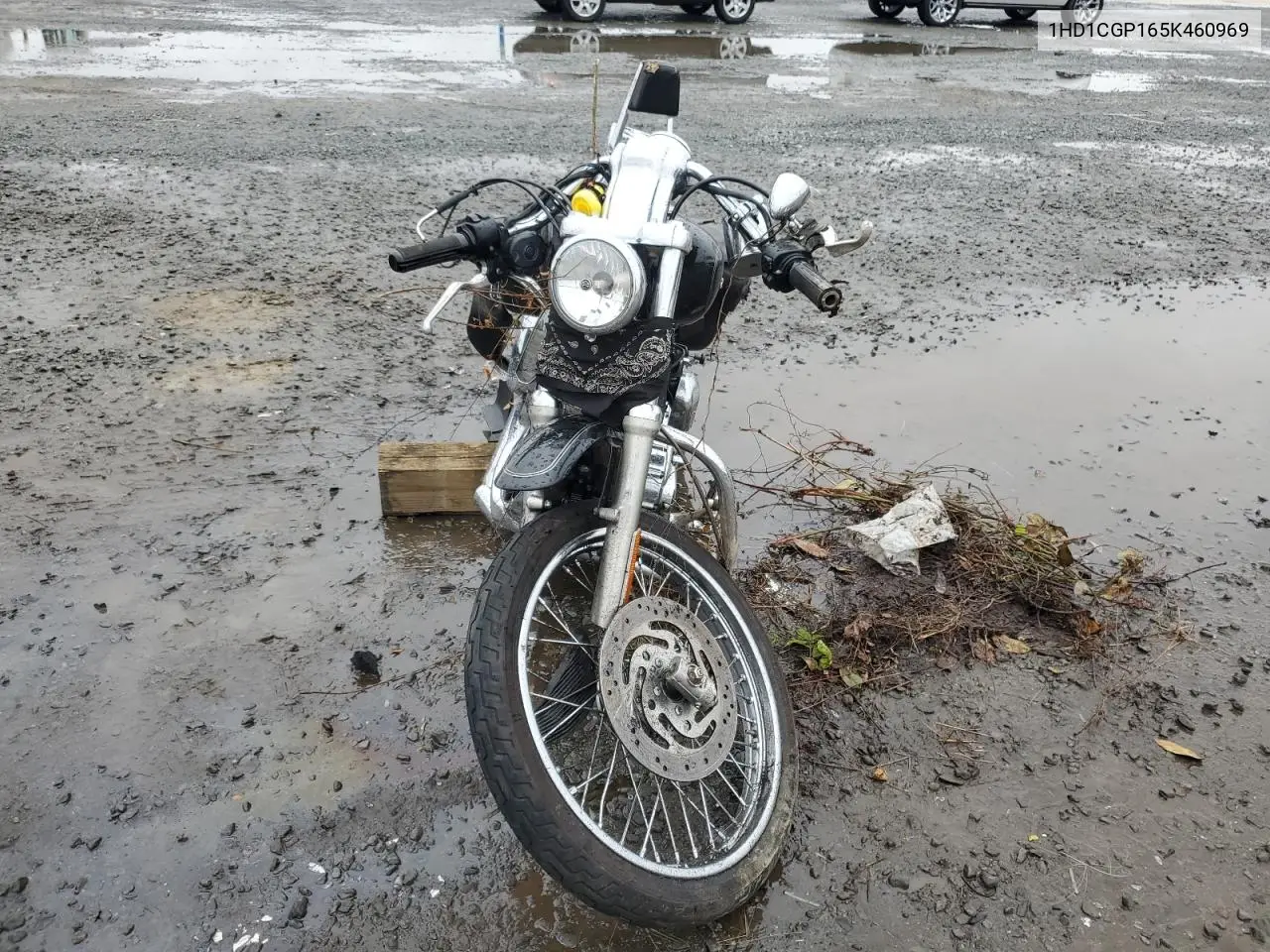 2005 Harley-Davidson Xl1200 C VIN: 1HD1CGP165K460969 Lot: 57593285
