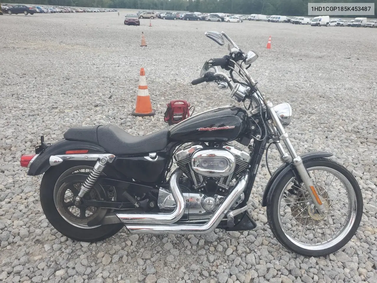 2005 Harley-Davidson Xl1200 C VIN: 1HD1CGP185K453487 Lot: 64585385