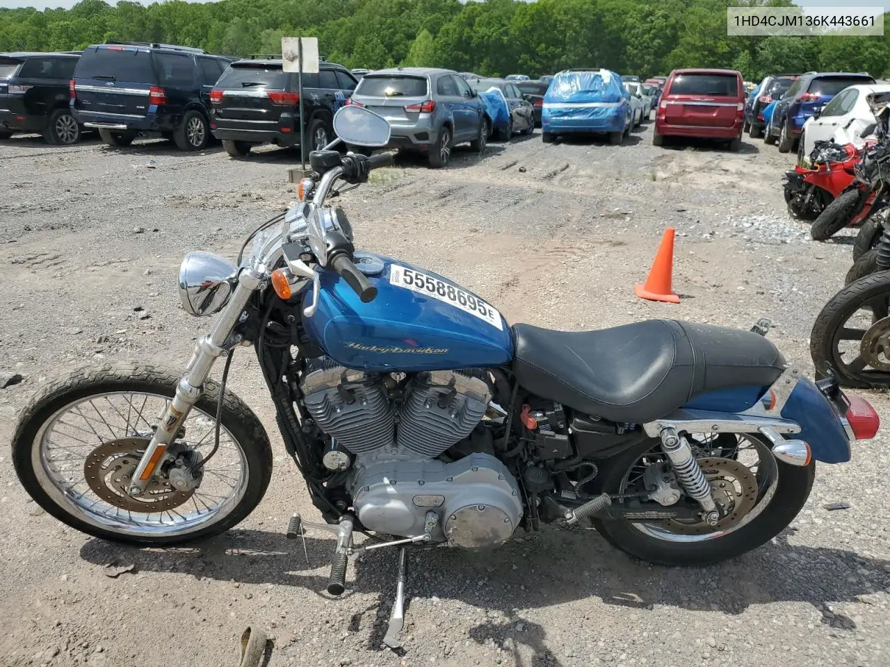 2006 Harley-Davidson Xl883 C VIN: 1HD4CJM136K443661 Lot: 55588695